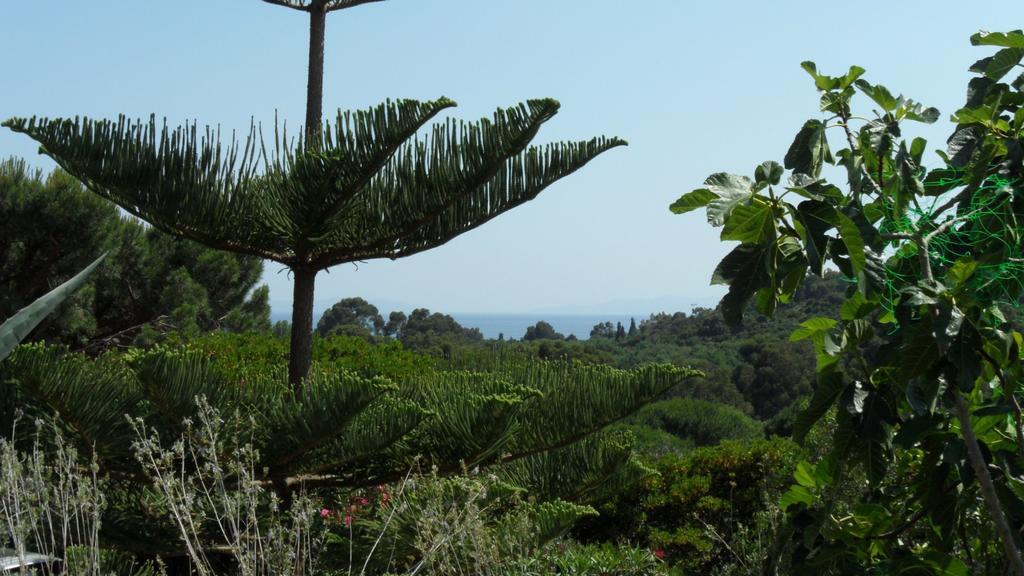 Villa Carpe Diem Ле-Лаванду Номер фото